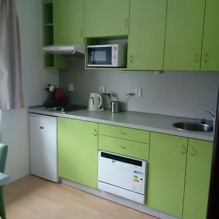 Apartment Apartman Ales Lipno nad Vltavou